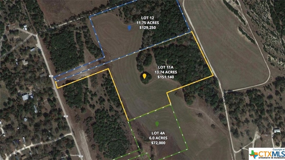 TBD Tract #11A County Road 4830, Kempner, TX 76539 - photo 1