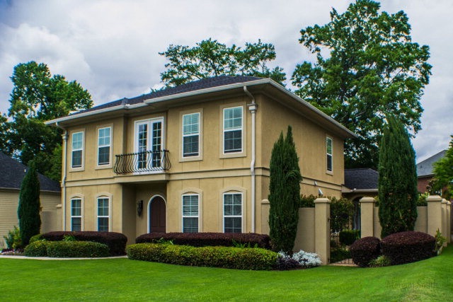 Main View