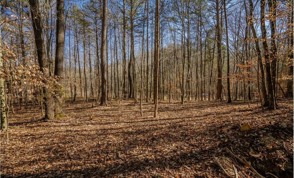 42 Quarles Rd, Rocky Face, GA 30740 - photo 1