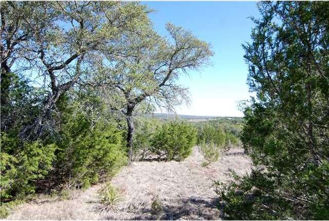 View : Views and trees!