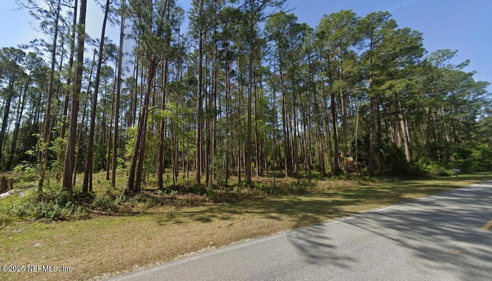 245 & 243 Georgetown Denver Rd, Georgetown, FL 32139 - photo 1