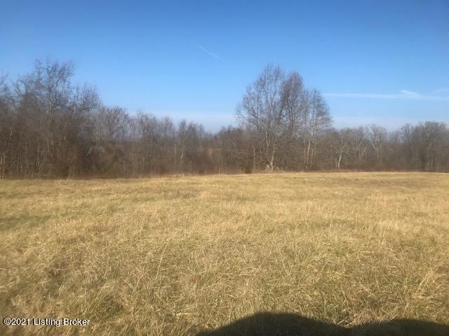 139 Hickory Ln, Bloomfield, KY 40008 - photo 1