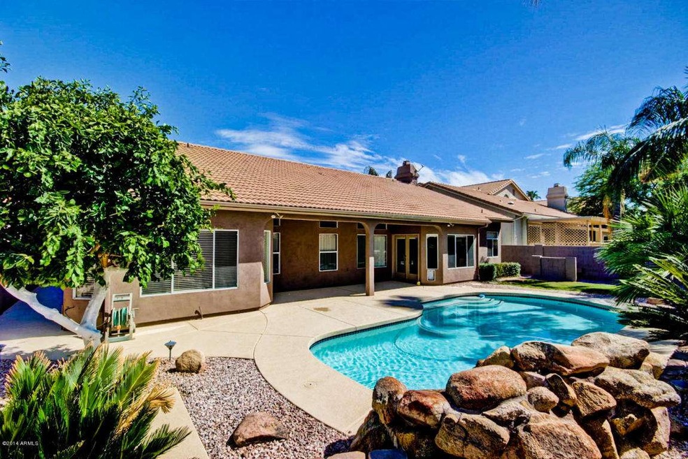 Beautiful Backyard