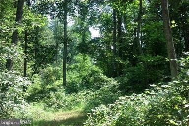 0 Chimney Cir unit 1003196208, Middletown, VA 22645 - photo 1