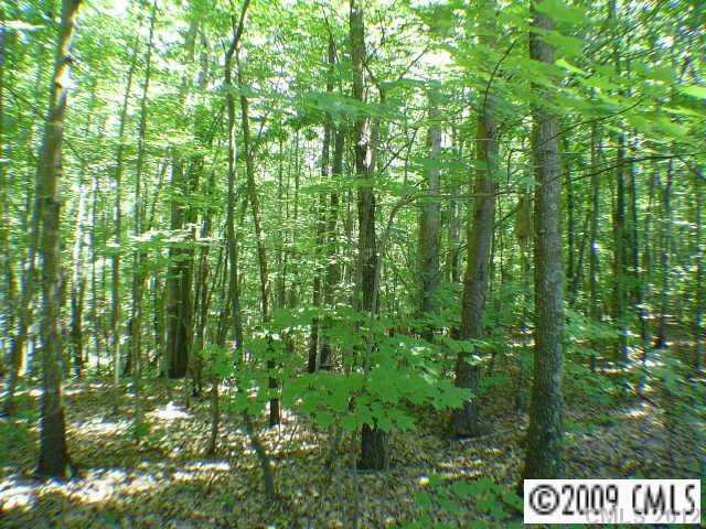 119 Arbor Dr, Statesville, NC 28677 - photo 1