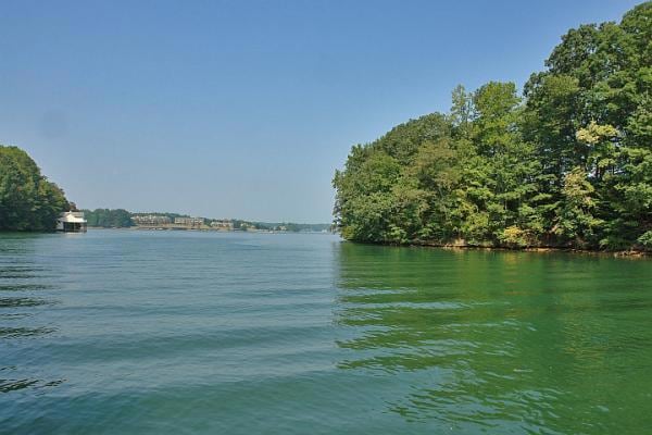 Beautiful Lake Lot