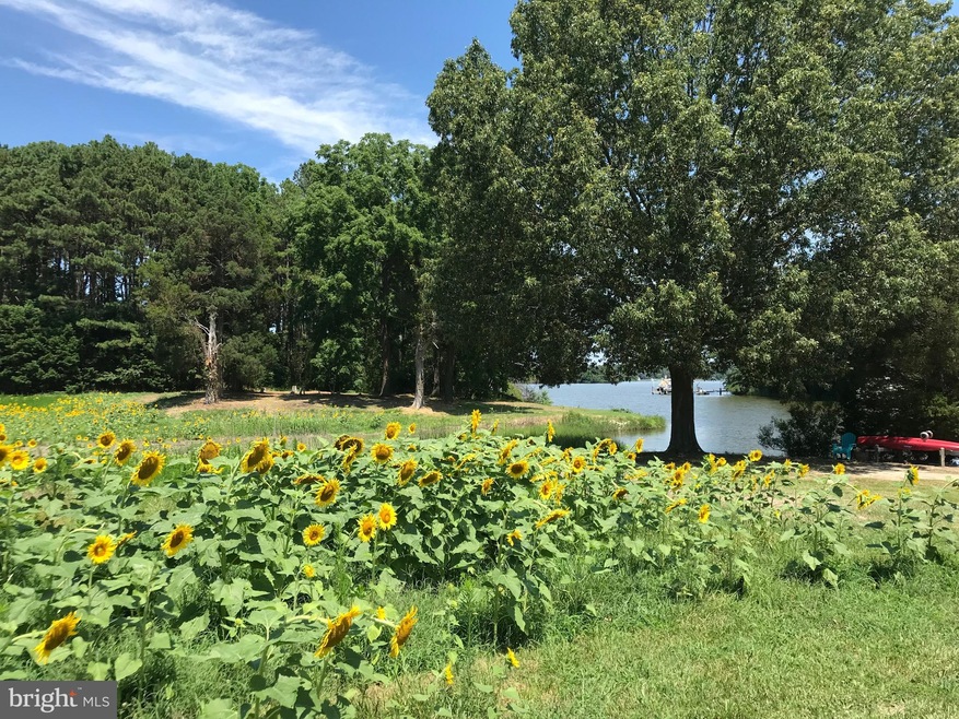0 Baildon Rd, 3, Trappe, MD 21673 - photo 1
