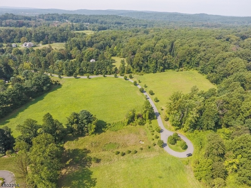 11 Pine Field, Harding Twp., NJ 07960 - photo 1