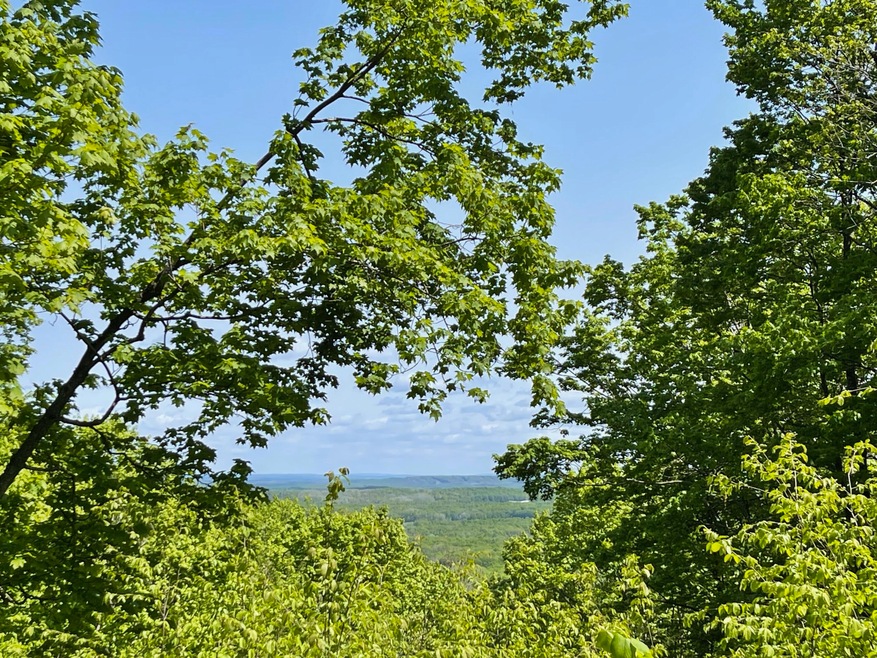 2400 Tower Rd, Hudson Township, MI 49795 - photo 1