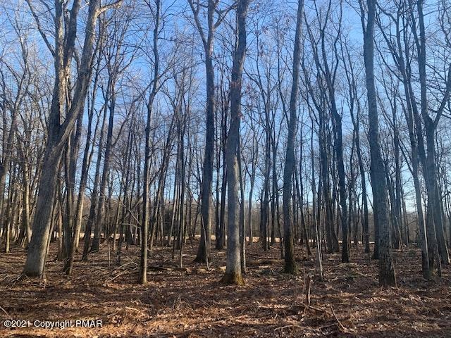 Lot A125 Broad Mountain View Dr, Jim Thorpe, PA 18229 - photo 1