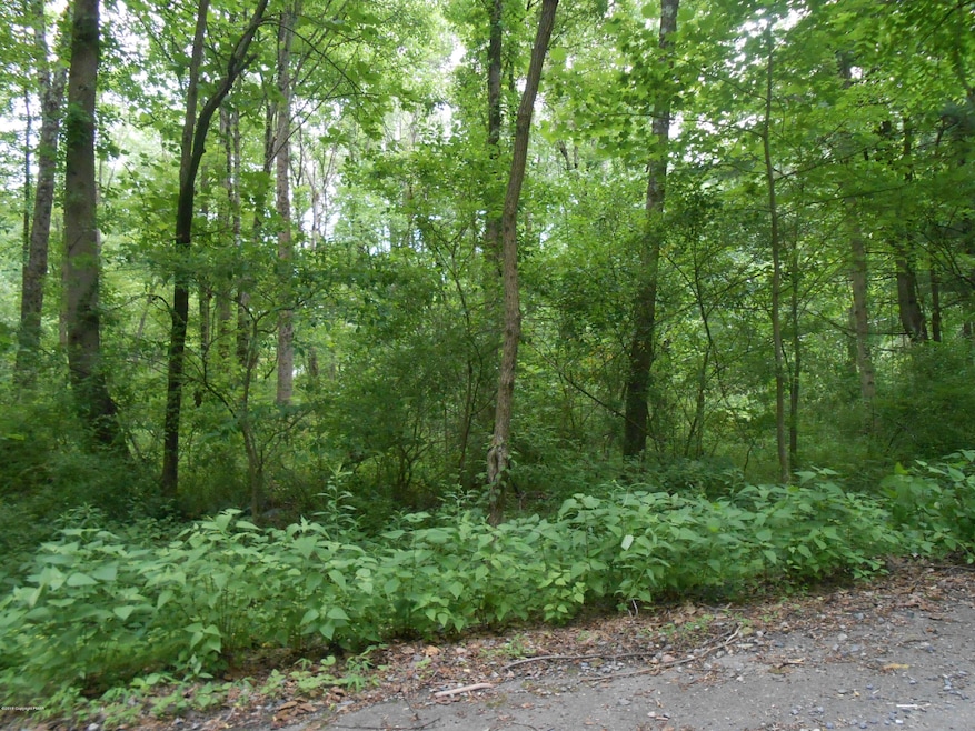 1 Davis Ct, Stroudsburg, PA 18360 - photo 1