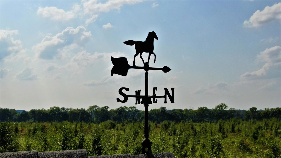 0 Bolender Pontious Rd, Circleville, OH 43113 - photo 1