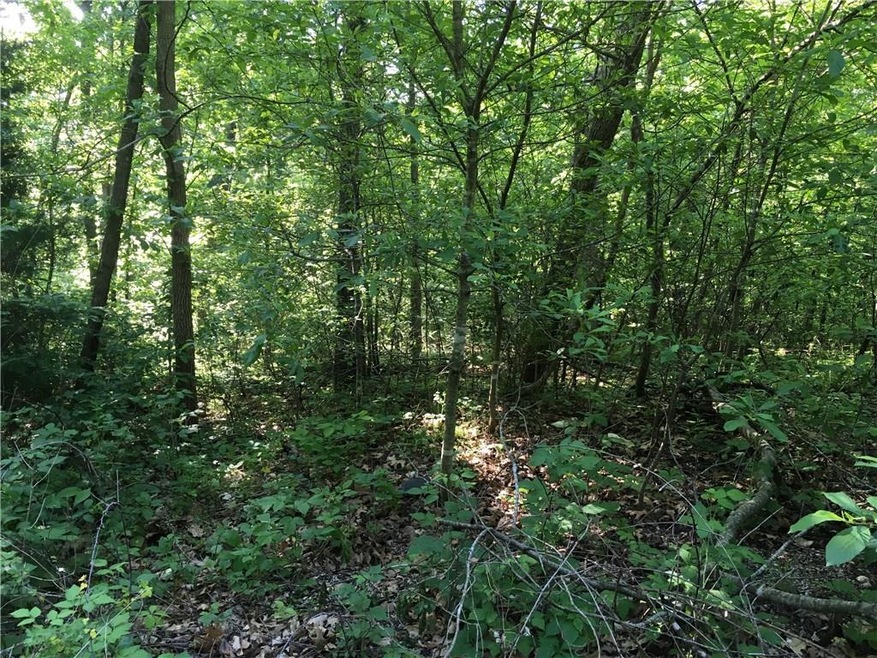 Picture of lot from Yardley LN.  Slopes down toward the back but very manageable.  Extremely private setting.