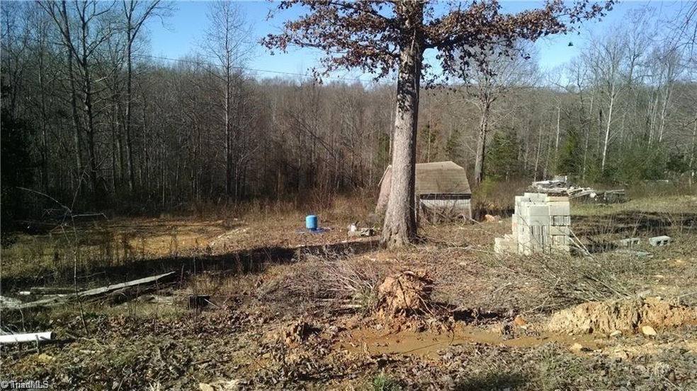 1004 Foggy Mountain Rd, Asheboro, NC 27205 - photo 1