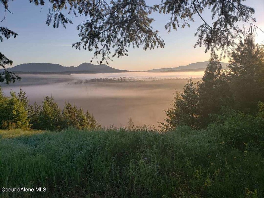 NKA E Forest View Dr, Athol, ID 83801 - photo 1