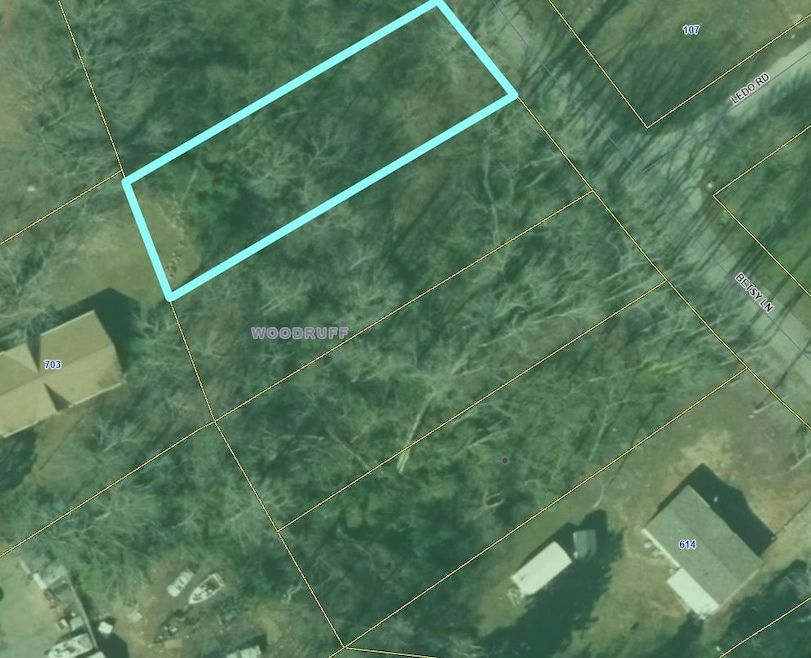 0000 Betsy Ln, Woodruff, SC 29388 - photo 1