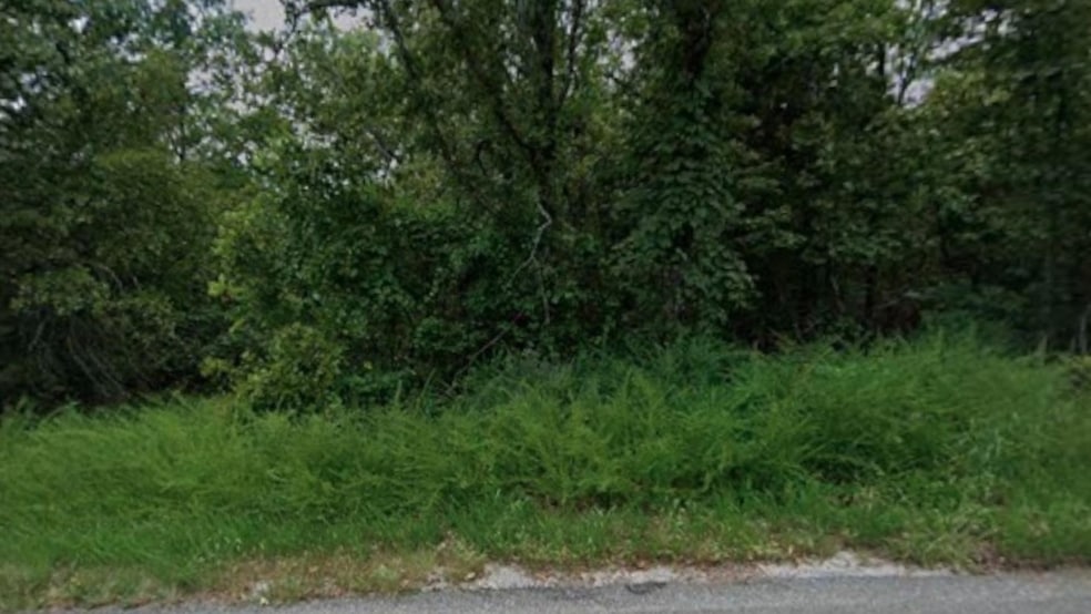 Camas Trace, Cherokee Village, AR 72529 - photo 1