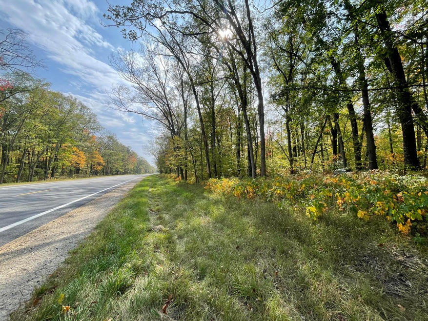 V/L 20A N Woodbridge Dr, Bitely, MI 49309 - photo 1