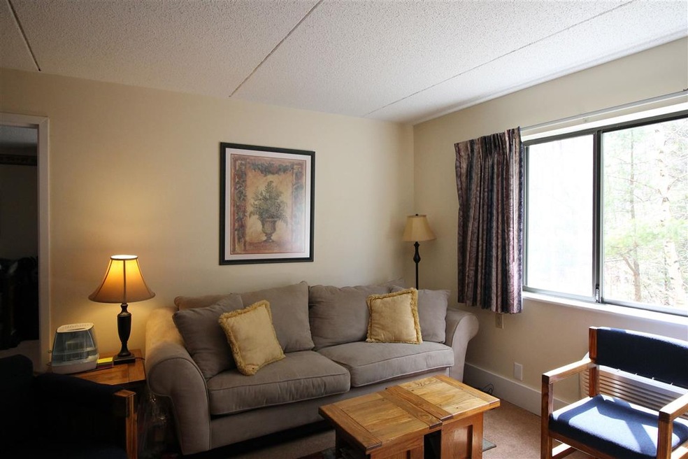 23 Black Bear Way unit 211, Waterville Valley, NH 03215 - photo 1