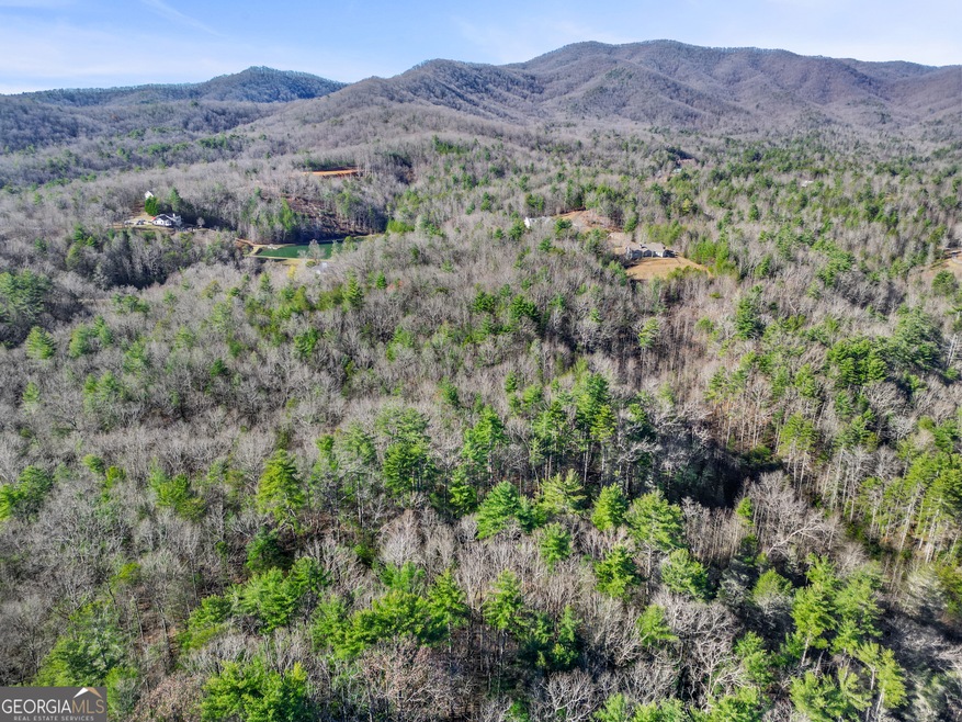 5.3 AC Joel Walker Rd, Ellijay, GA 30540 - photo 1