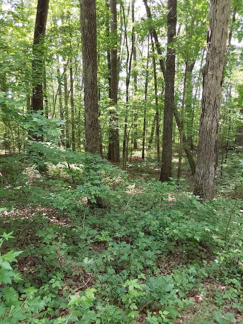 1.3 acres