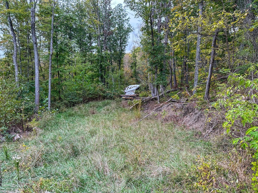 0 Lower Twin Rd, South Salem, OH 45681 - photo 1