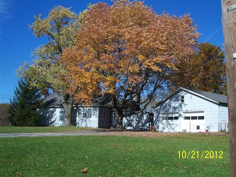 Primary Photo