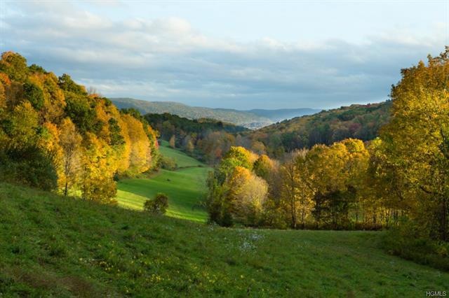 0 Butts Hollow Rd unit 4439277, Washington, NY 12522 - photo 1