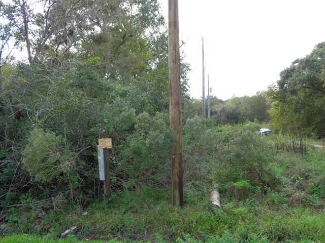20228 Cr 510 W, Brazoria, TX 77422 - photo 1