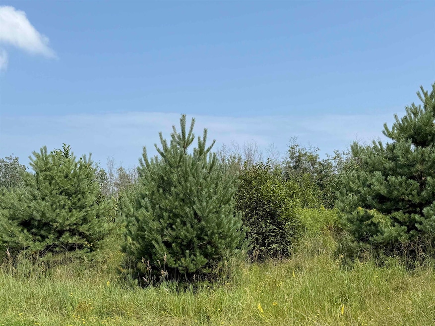 lot 2 blk 1 Reservation Rd, Cloquet, MN 55720 - photo 1