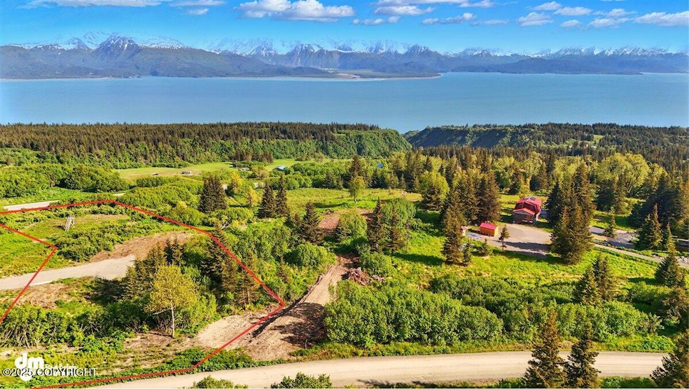 L2 Hutler Rd, Fritz Creek, AK 99603 - photo 1