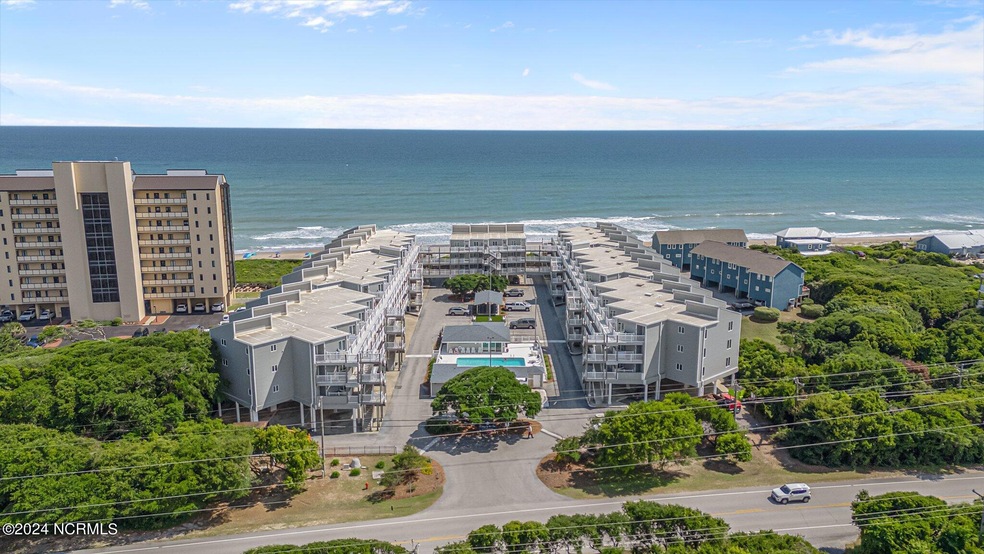 Colony by The Sea