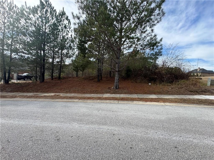 4716 Grandview Pkwy, Flowery Branch, GA 30542 - photo 1