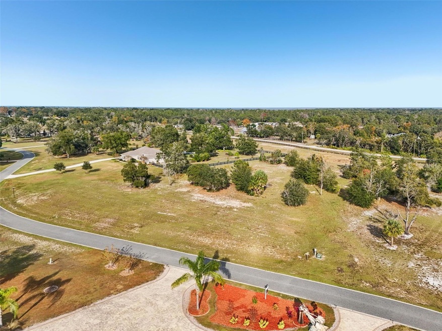 0 Seneca Reserve Dr unit MFRG5104841, Eustis, FL 32736 - photo 1