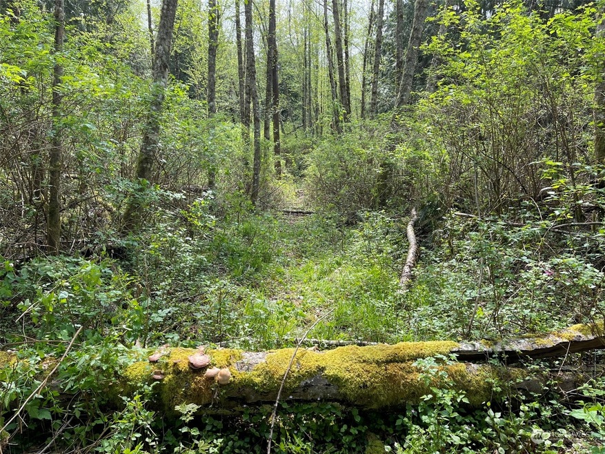 16201 30th Ave NW, Lake Goodwin, WA 98292 - photo 1