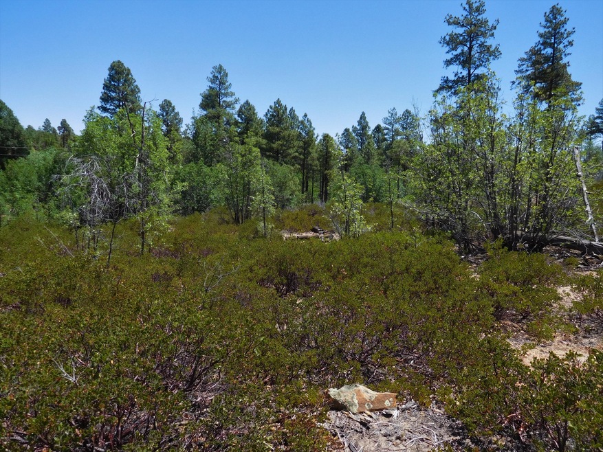 6283 Juniper Ridge Rd, Show Low, AZ 85901 - photo 1