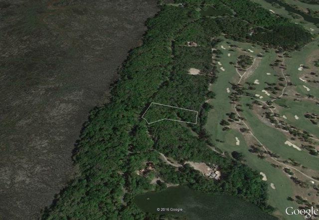 242 Saint Annies Ln, St. Simons Island, GA 31522 - photo 1