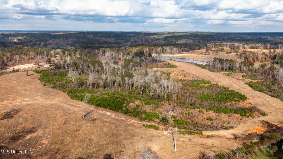 44 Acres-Hwy 13-42