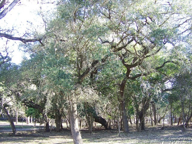 19410 Scenic Loop Rd, Grey Forest, TX - photo 1