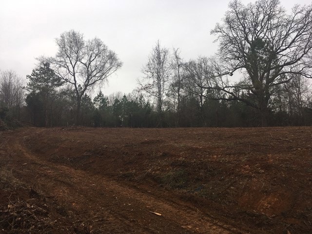 128 County Road 415, Oxford, MS 38655 - photo 1