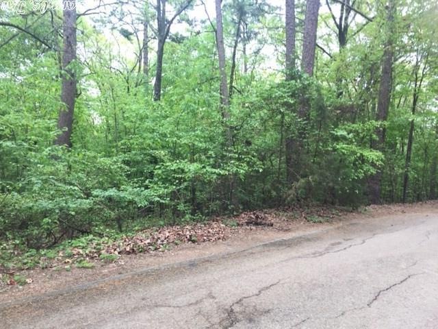 unlisted-address, Heber Springs, AR 72543 - photo 1