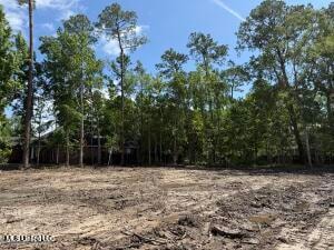 72699 N Diamondhead Dr, Diamondhead, MS 39525 - photo 1