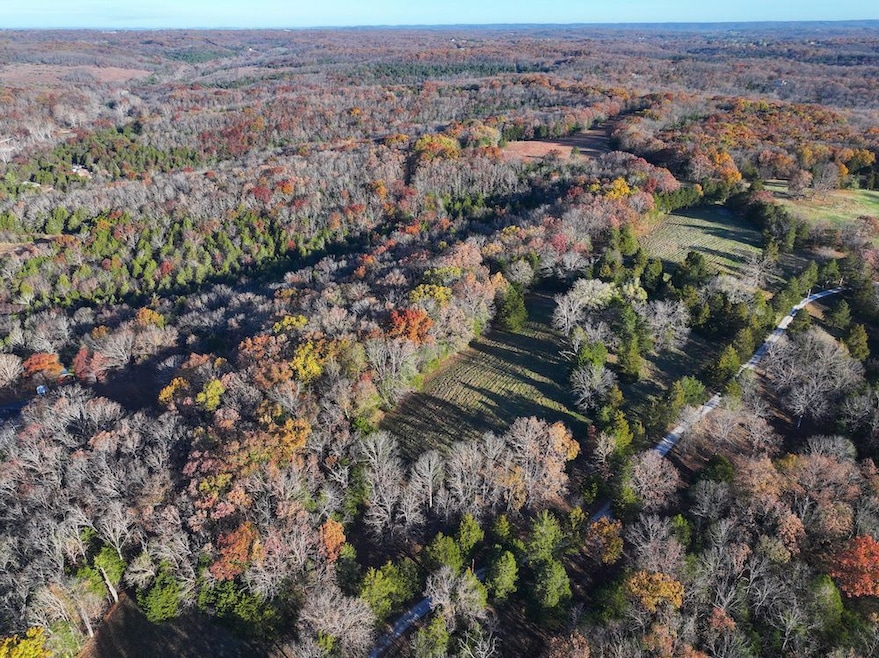 000 Scanlon Dr, de Soto, MO 63020 - photo 1