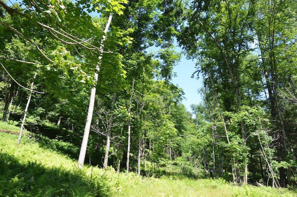 50 Barnett Rd, Fairfax, VT 05454 - photo 1