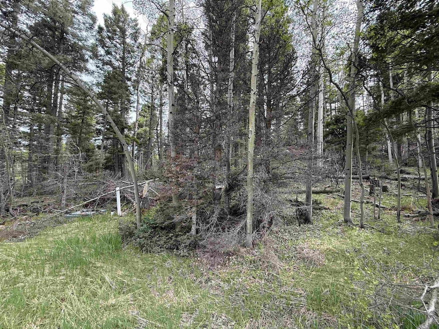 For Sale $25,750 • Co-Listing Agent