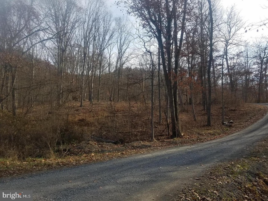 Lot G Off Brook Rd, Old Fields, WV 26845 - photo 1