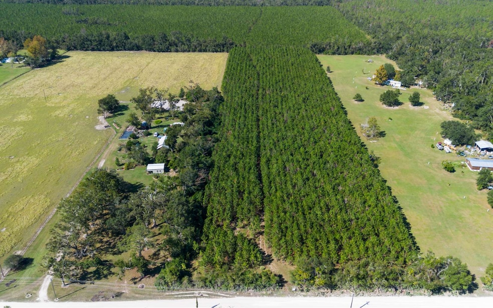 TBD-3 221st Rd, Dowling Park, FL 32060 - photo 1