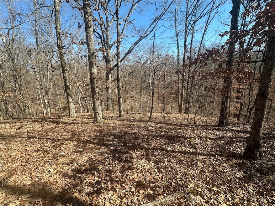 .34 Acres Carpenter Ln, Bella Vista, AR 72715 - photo 1