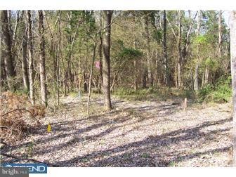 0 Geryville Pike unit 1003826534, Pennsburg, PA 18073 - photo 1