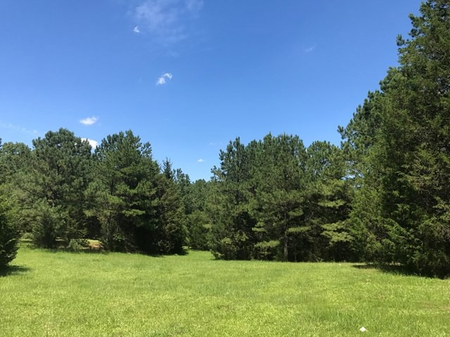 Lot 1 Guillebeau Rd, Lincolnton, GA 30817 - photo 1